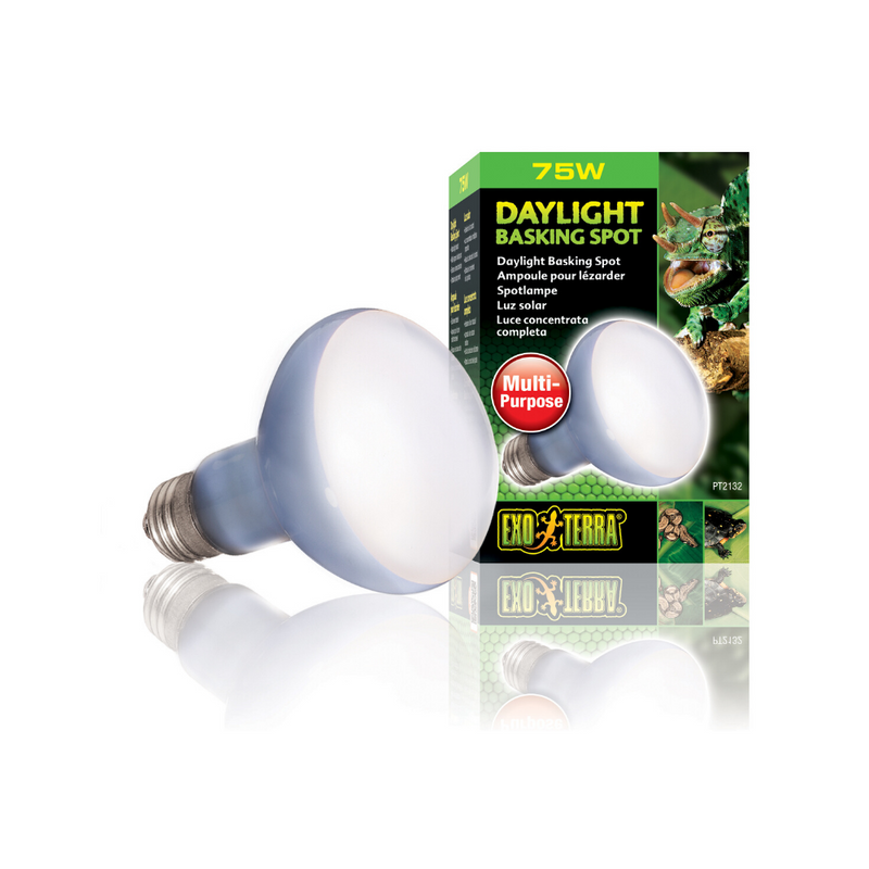 Daylight Basking Spot Lamp | Wide Beam Basking Bulb