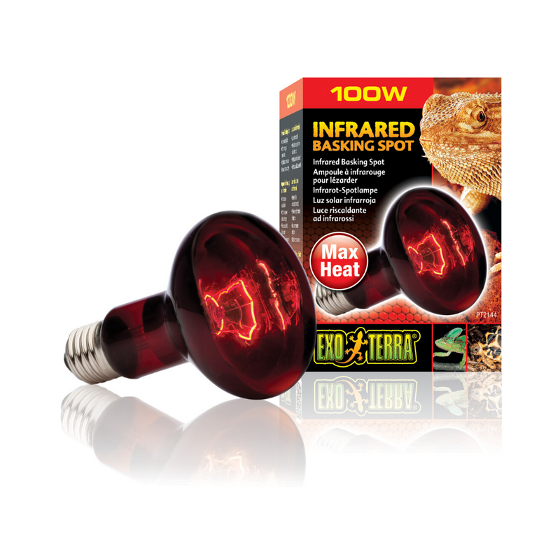 Infrared Basking Spot Lamp | Night Time Heat Bulb