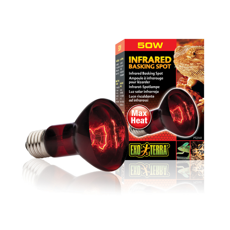 Infrared Basking Spot Lamp | Night Time Heat Bulb